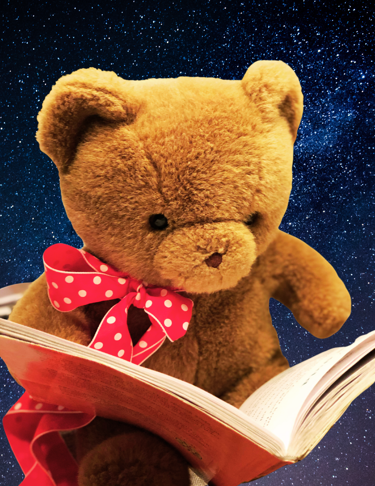 A teddy bear reads a book with a starry nighttime background.