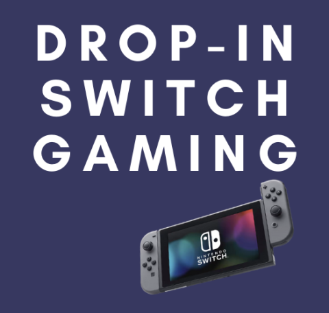 DROP -IN SWITCH GAMING