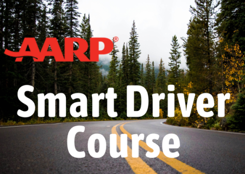 A highway in a wooded area lined with pine trees