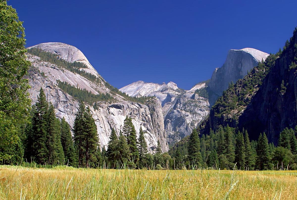 yosemite meadows