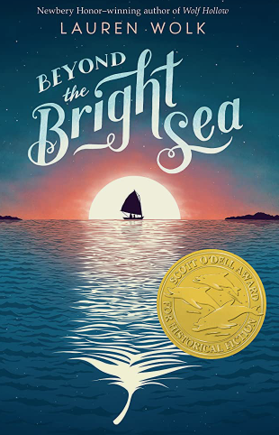 Beyond the Bright Sea book cover